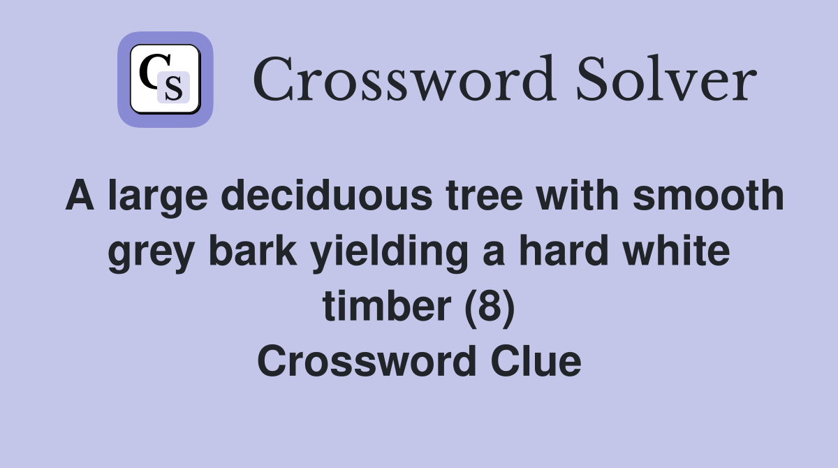 A large deciduous tree with smooth grey bark yielding a hard white